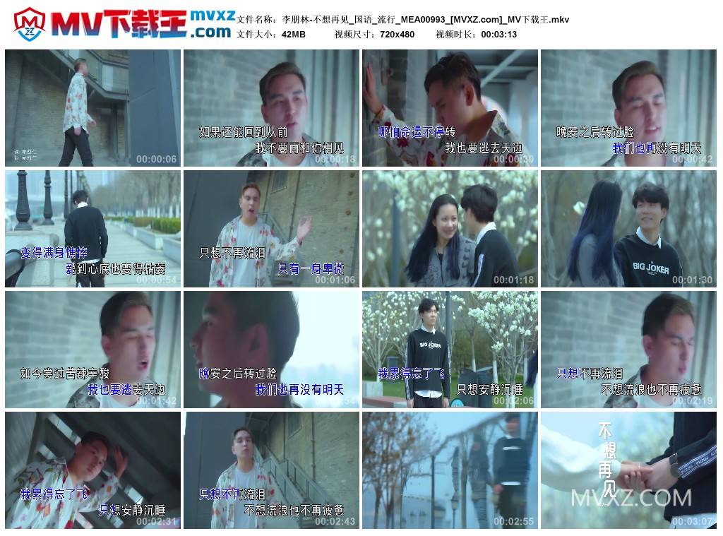 李朋林-不想再见_国语_流行_MEA00993